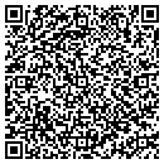 QR-код с контактной информацией организации ООО Стеллини.ру