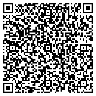 QR-код с контактной информацией организации Драйв