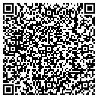 QR-код с контактной информацией организации «Флайвис тур»