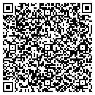 QR-код с контактной информацией организации ООО Играмир