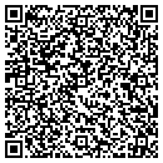 QR-код с контактной информацией организации ООО Роесия