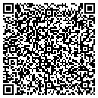 QR-код с контактной информацией организации МИР ВИДЕОИГР