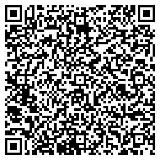 QR-код с контактной информацией организации ООО Блинк