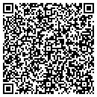 QR-код с контактной информацией организации ООО Ромашка