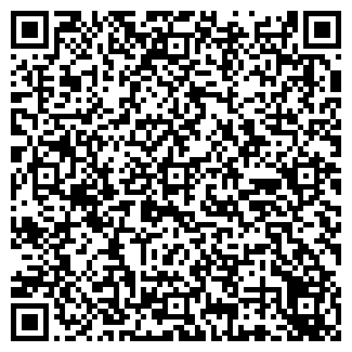 QR-код с контактной информацией организации ООО БАРС