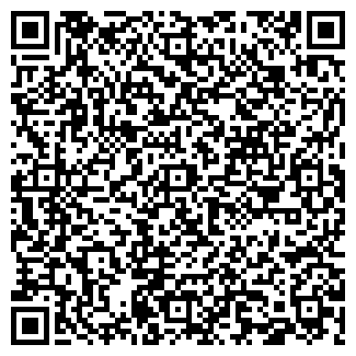 QR-код с контактной информацией организации Самозанятый Chill-Bar