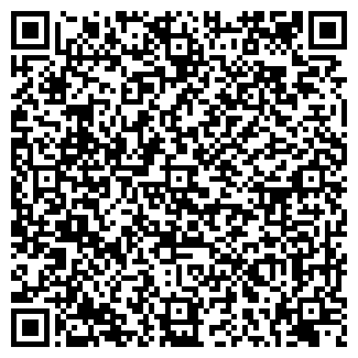 QR-код с контактной информацией организации ЛЕТОПИСЬ