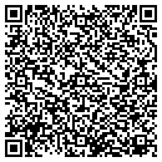 QR-код с контактной информацией организации ИП Lipe lazer