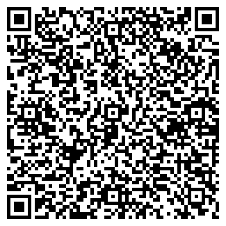 QR-код с контактной информацией организации ООО ДЭВА