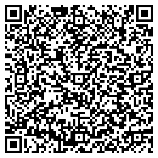 QR-код с контактной информацией организации VIP Rentcar