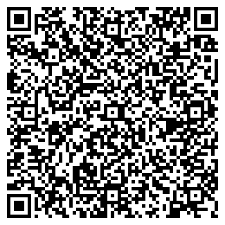 QR-код с контактной информацией организации Автомир