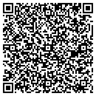 QR-код с контактной информацией организации ООО "Велес"