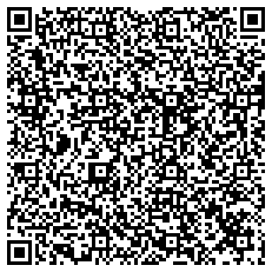 QR-код с контактной информацией организации ИП Evolutis Consulting