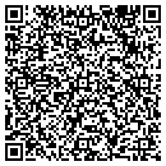 QR-код с контактной информацией организации ООО Ноэлия