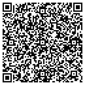 QR-код с контактной информацией организации ИП 1313