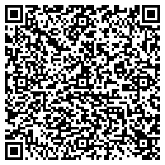 QR-код с контактной информацией организации Insay SPA