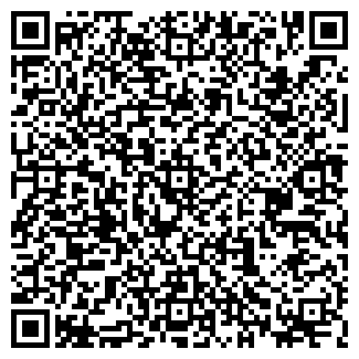 QR-код с контактной информацией организации ООО Svaibel