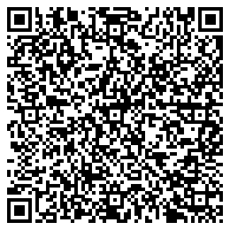 QR-код с контактной информацией организации Ип ElectroStreet