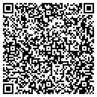 QR-код с контактной информацией организации ИП «Аврора»