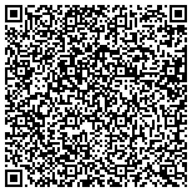 QR-код с контактной информацией организации Visa Digital Nomad