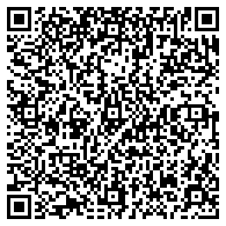 QR-код с контактной информацией организации № 201