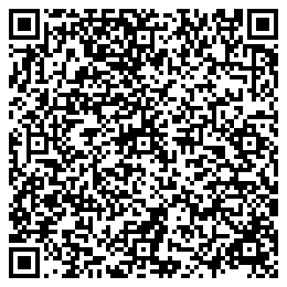 QR-код с контактной информацией организации ВЕСНУШКИ