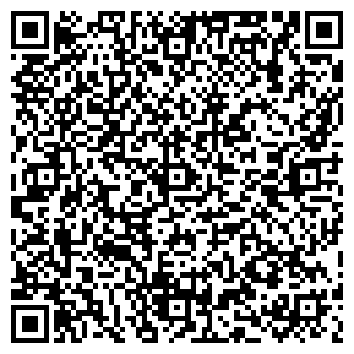 QR-код с контактной информацией организации ООО Креатив 163