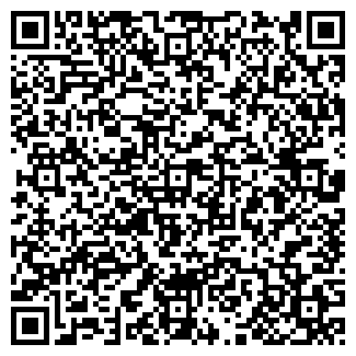 QR-код с контактной информацией организации ИП Intravel