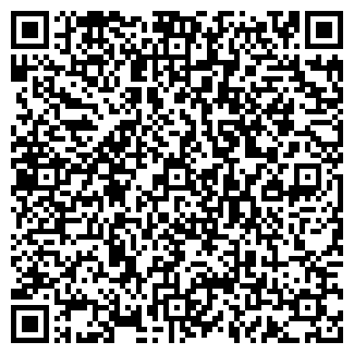 QR-код с контактной информацией организации System Analyst