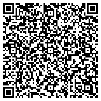 QR-код с контактной информацией организации ИП Tamriko