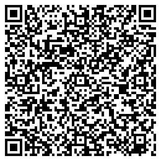 QR-код с контактной информацией организации ИП Basic Look