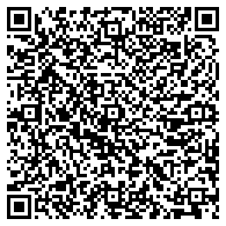 QR-код с контактной информацией организации ИП Дайвград