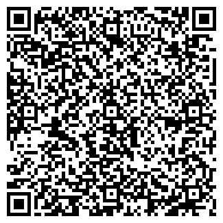 QR-код с контактной информацией организации DimCars
