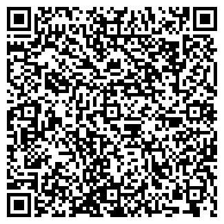 QR-код с контактной информацией организации ИП Baggroup