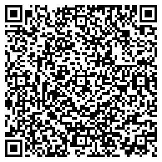 QR-код с контактной информацией организации Дом мафии