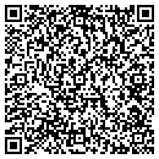 QR-код с контактной информацией организации Sayze.ru