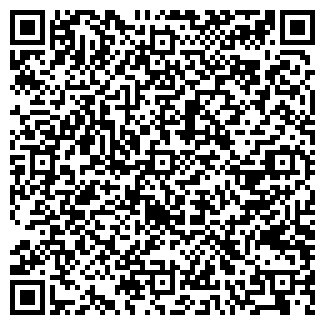 QR-код с контактной информацией организации ООО NetKitsu