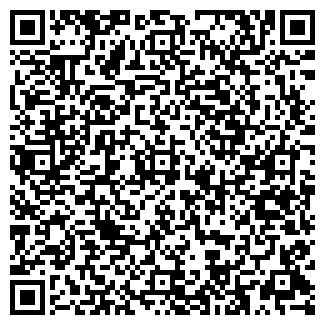 QR-код с контактной информацией организации ООО DINT Club