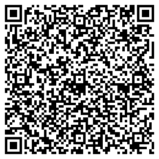 QR-код с контактной информацией организации Билибин