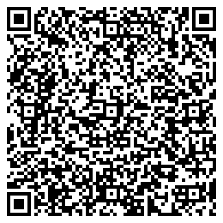 QR-код с контактной информацией организации ИП Мейзер С.А.