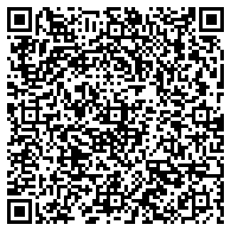 QR-код с контактной информацией организации Remote Team