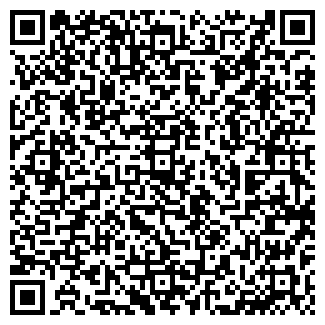 QR-код с контактной информацией организации Слоники Family