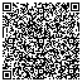 QR-код с контактной информацией организации ИП Vsevmyke