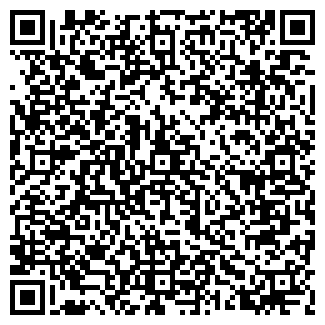 QR-код с контактной информацией организации VoltHub