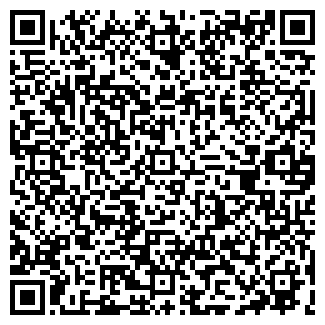 QR-код с контактной информацией организации ШМИДТ Е.Г.