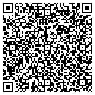 QR-код с контактной информацией организации ИП Дима Федоров