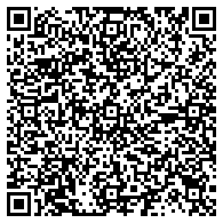 QR-код с контактной информацией организации SKARU GROUP