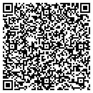 QR-код с контактной информацией организации ЛИСЭ, ООО