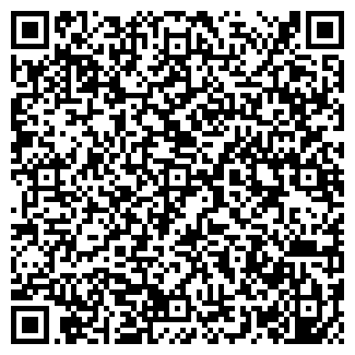 QR-код с контактной информацией организации «Василиса»