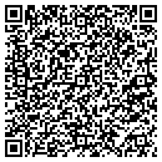 QR-код с контактной информацией организации ККМ СЕРВИС, ООО